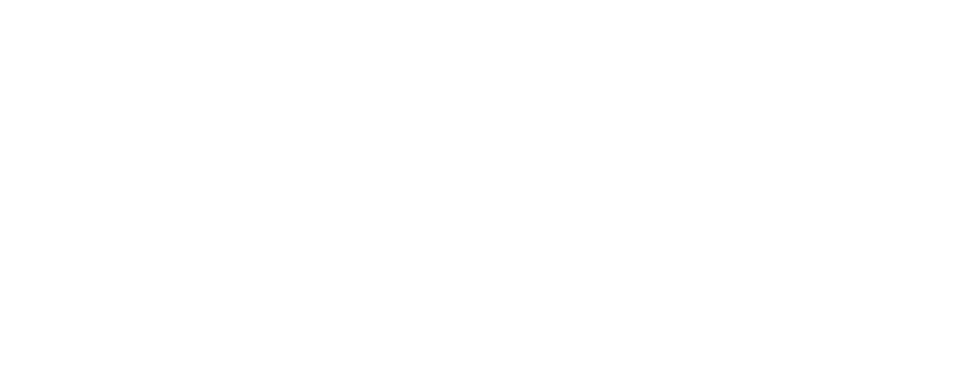 The Mobile Network-2